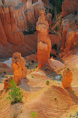 DSC_2431.jpg (4288x2848) NIKON D300 - 18-200mm f/3.5-5.6 // F5,6 // 1/125 sec // ISO 400 // 38,0 mm // no Flash // 2008:07:15 06:05:04 DSC_2431.jpg (4288x2848) NIKON D300 - 18-200mm f/3.5-5.6 // F5,6 // 1/125 sec // ISO 400 // 38,0 mm // no Flash // 2008:07:15 06:05:04